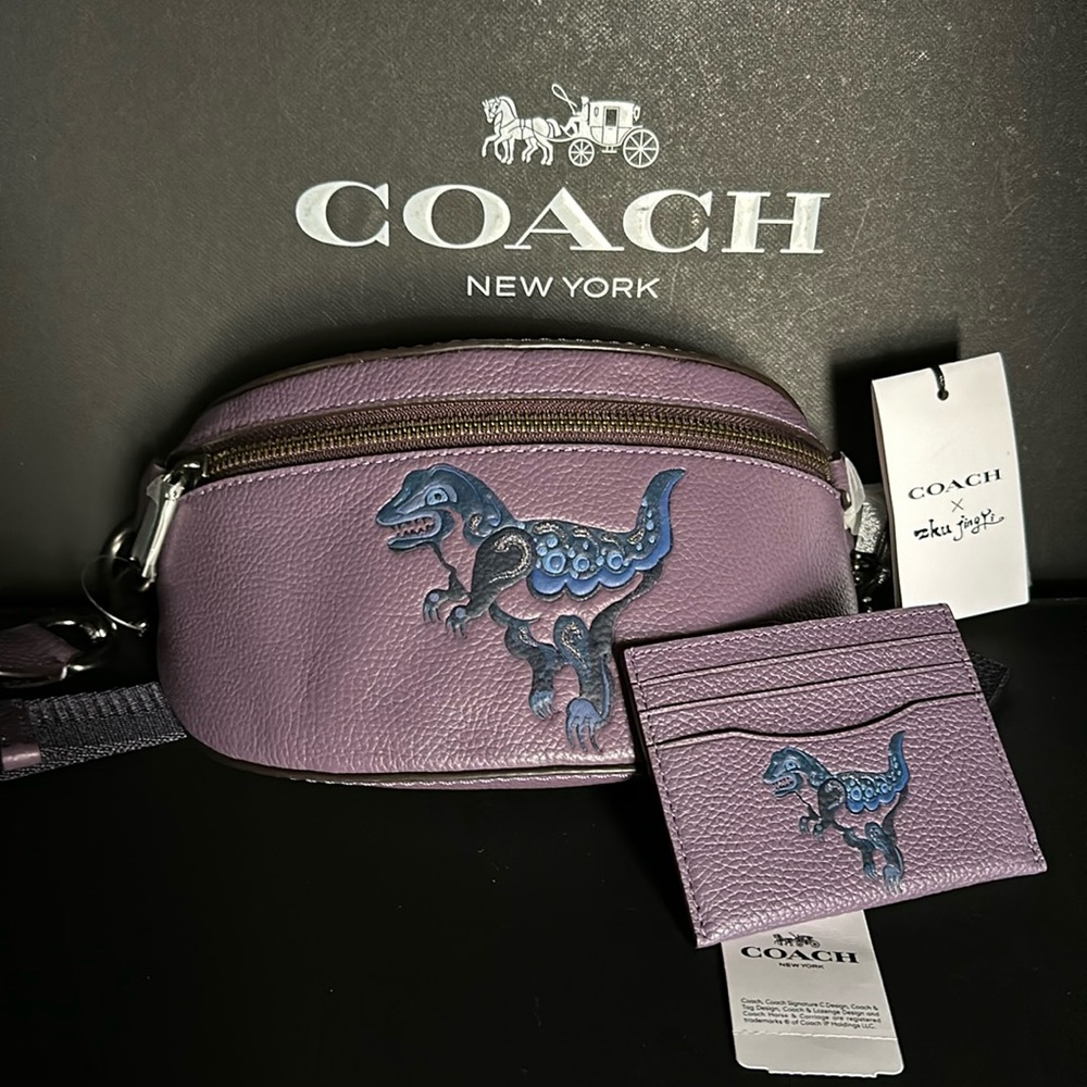 Coach X Zhu Jingyi Rexy Dinosaur Wallet Belt bag Fanny Crossbody Leather Purse